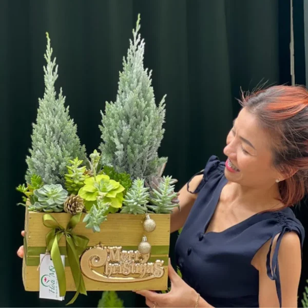 Cây Thông Giáng Sinh Mix Sen Đá: “Sơn Cao Vững Như Thạch”