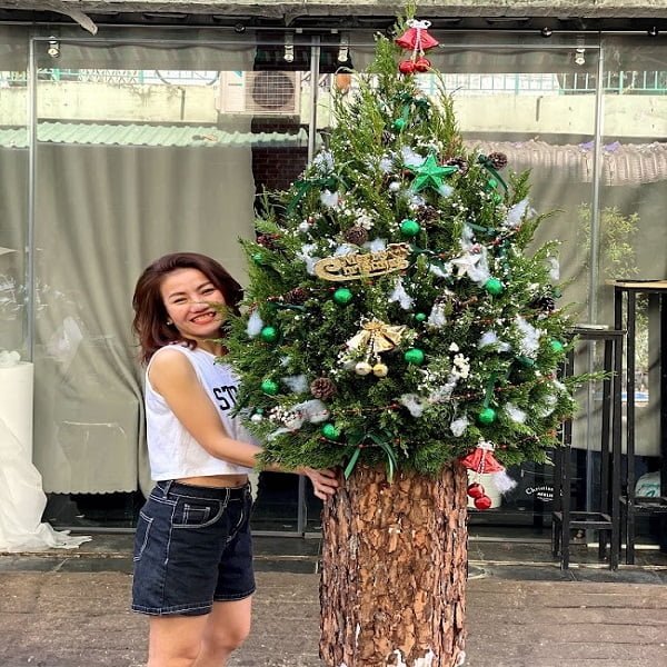 cay-son-tung-khong-lo.jpg Cây Thông Thật Cao 1,6m, Cây Sơn Tùng Noel Khổng Lồ - Image 1