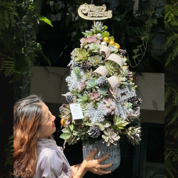 Cây Thông Noel Đẹp Từ Hoa Sen Đá Độc Đáo Tươi Lâu