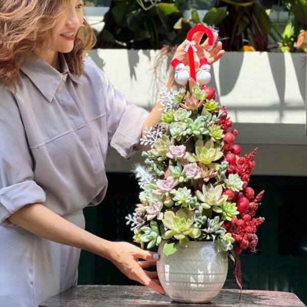 Thông Noel Đẹp Từ Hoa Sen Đá Tươi Cả Tháng