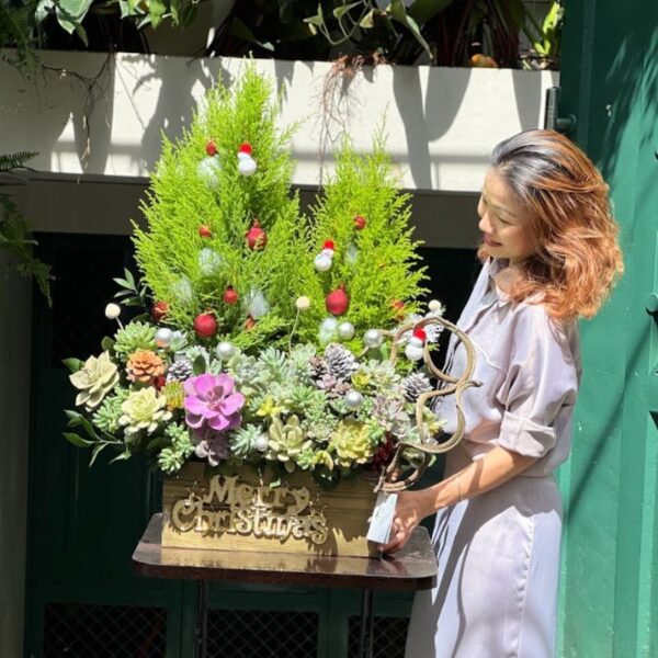 Tiểu Cảnh Noel Từ Cây Tùng Thơm Mix Hoa Sen Đá Đẹp Lạ Tươi Lâu