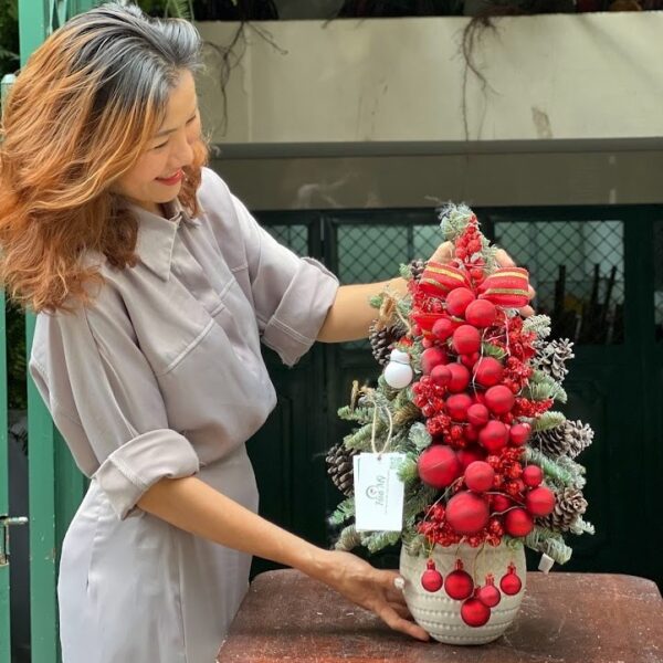 Cây Thông Nhỏ Để Bàn Thông Đan Mạch Ghép Cành Tươi Lâu