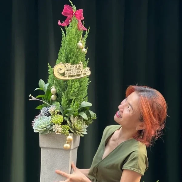 Cây Thông No-el Đẹp Mix Sen Đá Độc Lạ Tại TPHCM 2024