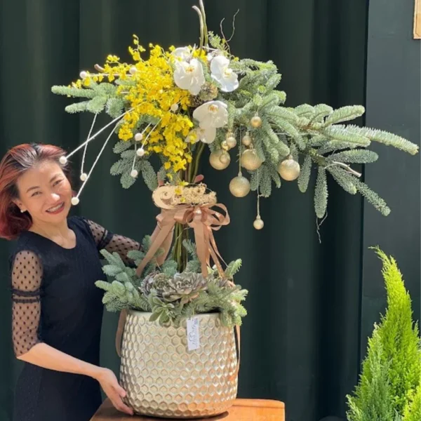 Thông Đan Mạch Nhập Khẩu Hoa Giáng Sinh Cao Cấp