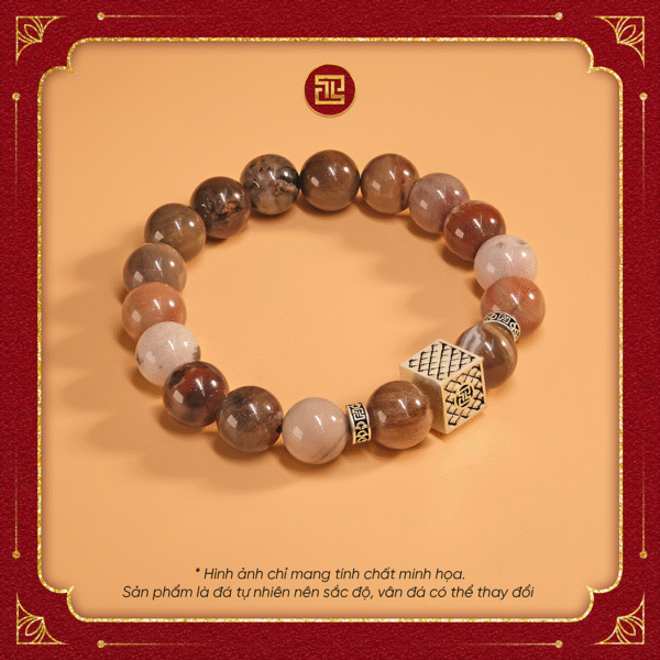 VÒNG GỖ HÓA THẠCH