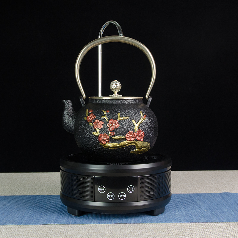 O1CN01P5KHKi2MNmLzNjzL3_2082899816.jpg Ấm Tetsubin và bếp Hồng ngoại hút nước tự động - Image 1