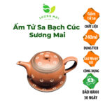 Ấm tử sa Bạch Cúc Sương Mai