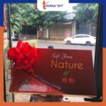 Hộp quà Cherry Cao Cấp (2kg) - Image 3