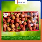 Set Vải Thiều Lục Ngạn Bắc Giang - Image 3