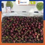 Cherry Canada - Image 2