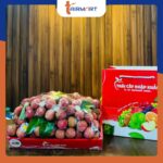 Set Vải Thiều Lục Ngạn Bắc Giang