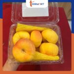 Đào Vàng - Image 3