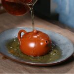 Bộ ấm tử sa Tây Thi Chu Sa 4 Chén - Image 12