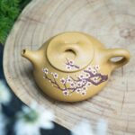 Bộ Ấm Chén Đoàn Sa Thạch Biều Cổ Thụ Mai - Image 3