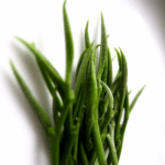 Trà Đinh Thượng Hạng Đặc Biệt 100g - Image 2