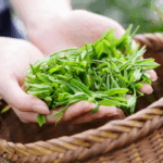 Trà Tân Cương Hoàng Vị Xuân 200g - Image 3