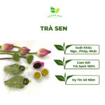 Trà Sen Sương Mai