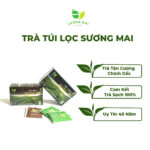 Trà Túi Lọc Sương Mai Hộp 20 Gói 40G