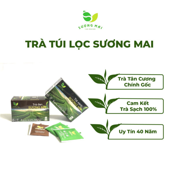 Trà Túi Lọc Sương Mai Hộp 20 Gói 40G