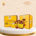 Trà túi lọc Đông Trùng Hạ Thảo (10 gói) - Image 3