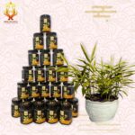 Gừng Gió Sên Mật Ong (2 hũ/hộp) - Image 3