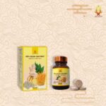 Viên ngậm Gincordy - Image 2