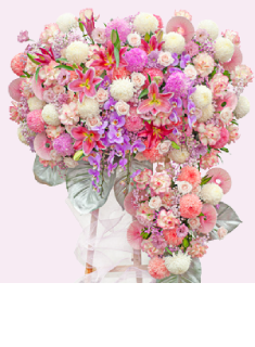 Grand opening flower